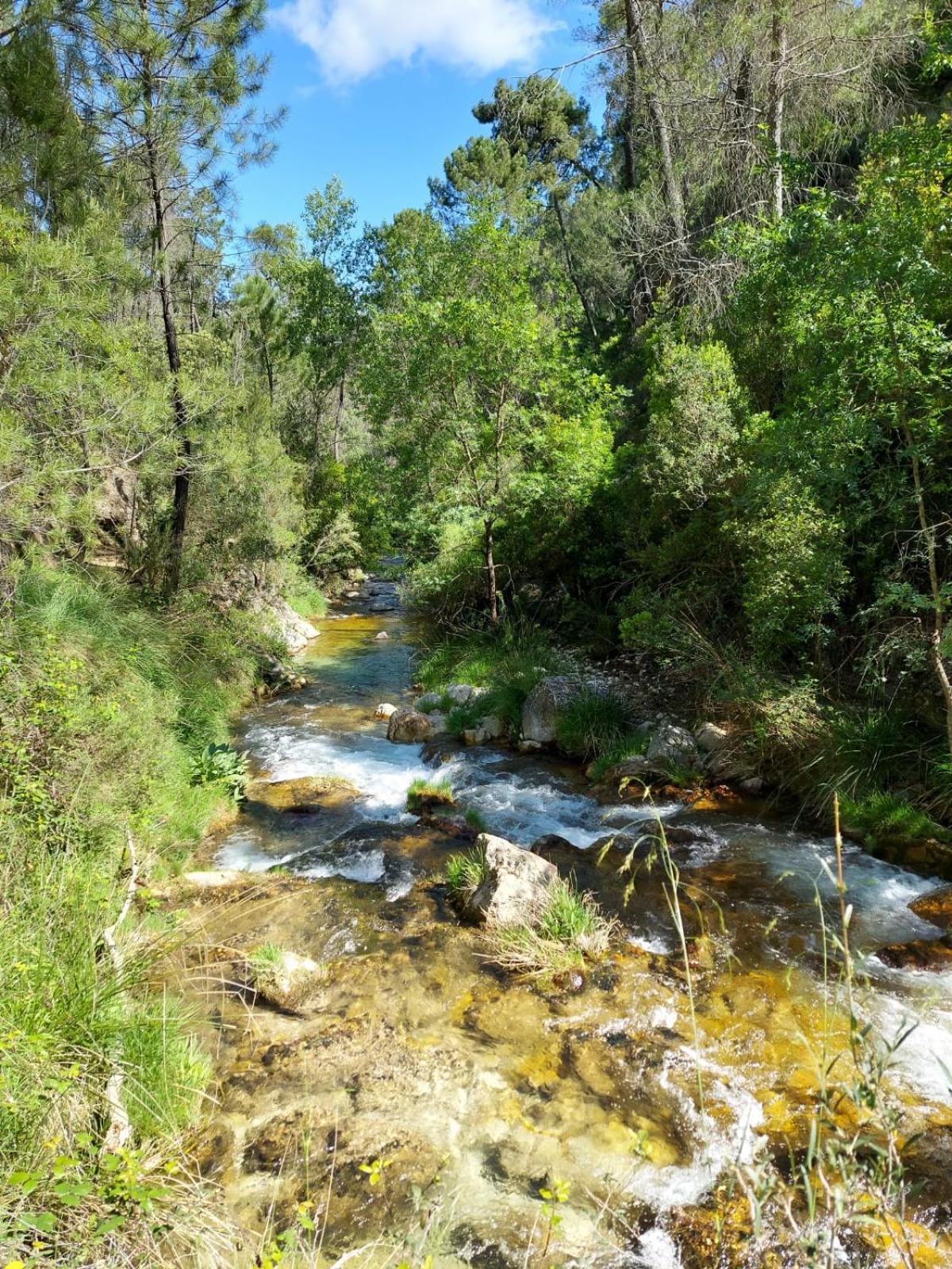 El Madronal Coto Rios