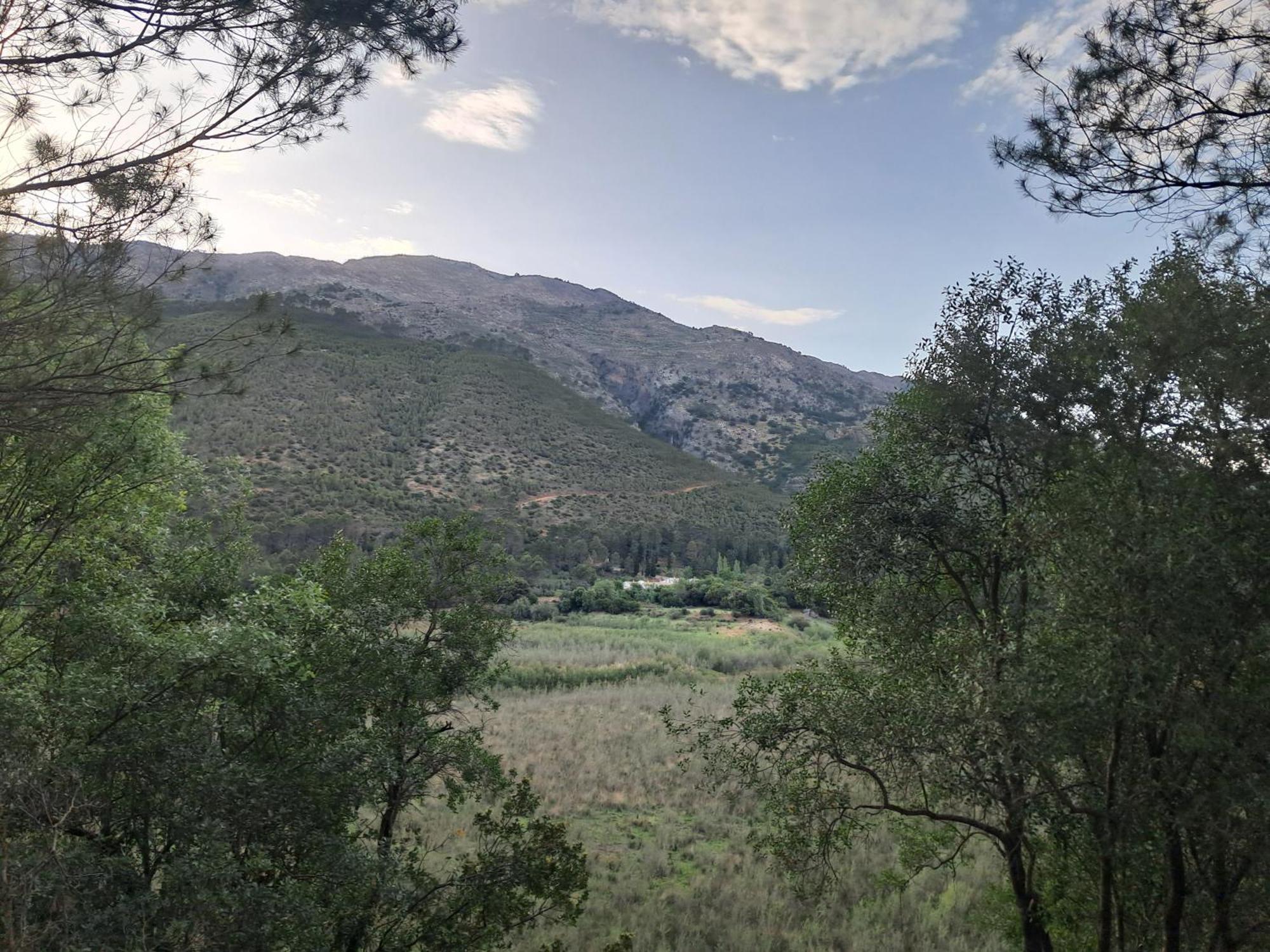 El Madronal *