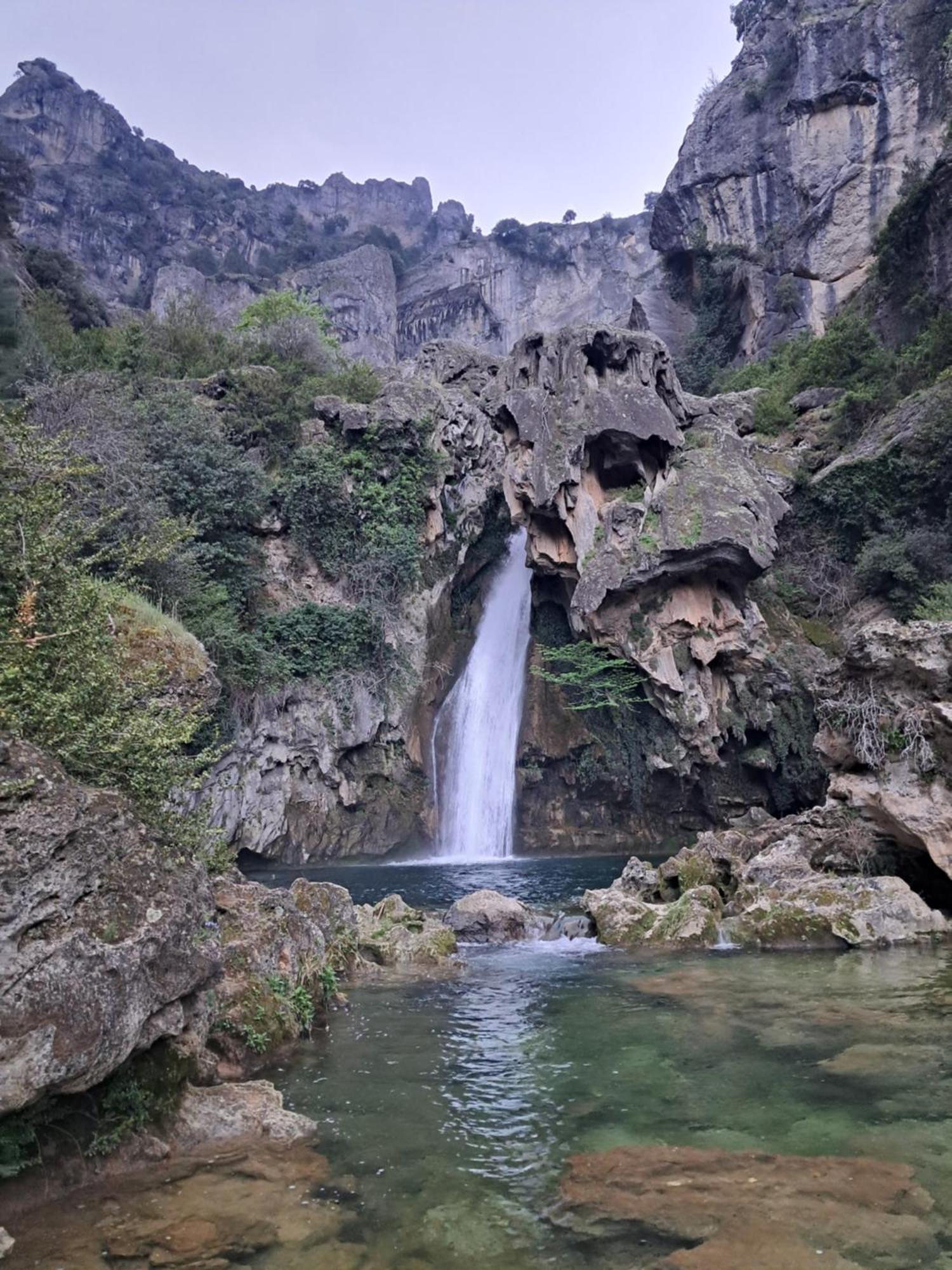 El Madronal *
